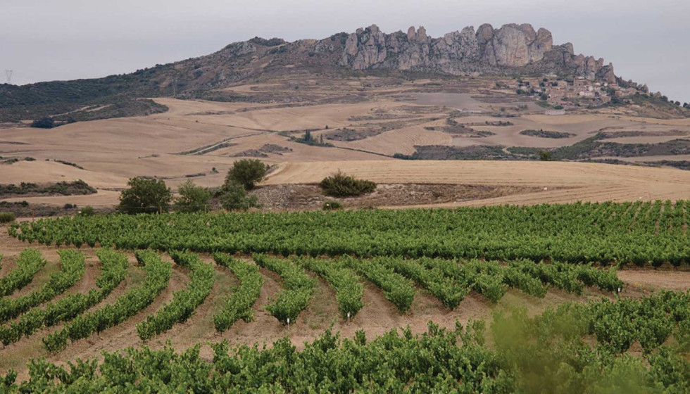A trav�s de una jornada divulgativa...