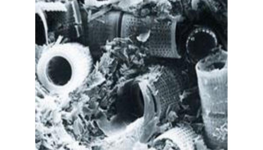 Imagen 2. Fotografa al microscopio de la estructura de la tierra de diatomeas