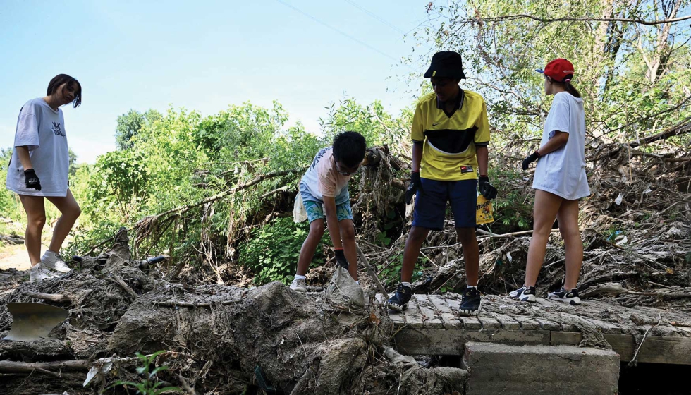 El 45 % de los residuos retirados fueron plsticos, mientras que el cartn y el papel representaron el 13 %, la misma proporcin que el metal...