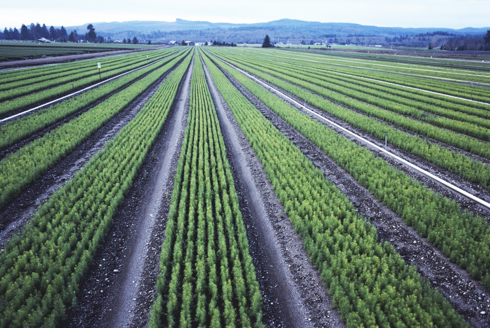 Las modificaciones propuestas buscan reconocer los sistemas agrivoltaicos...