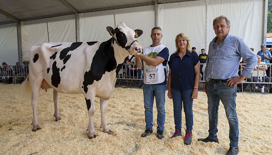 Entrega de premios del 37� Concurso Exposici�n de Ganado Vacuno Fris�n San Bernab�, en Trece�o (Vald�liga)