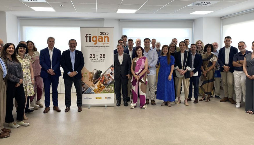 Comit Organizador de FIGAN