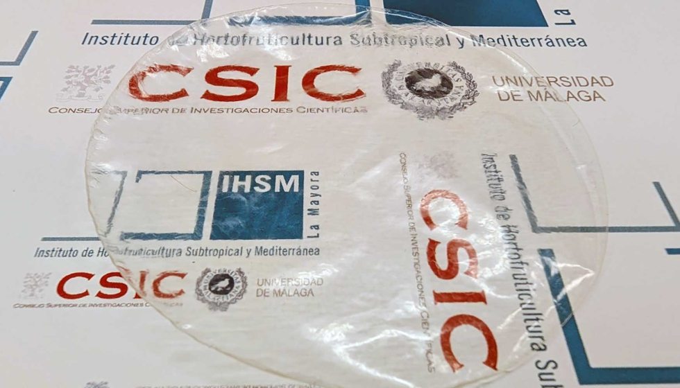 Folha de bioplstico feita de celulose, glicerol e cera de abelha. Foto: IHSM