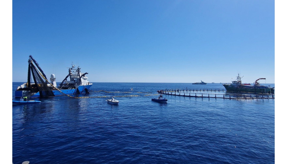 La flota ha capturado 3.700 toneladas en nueve d�as de pesca efectiva