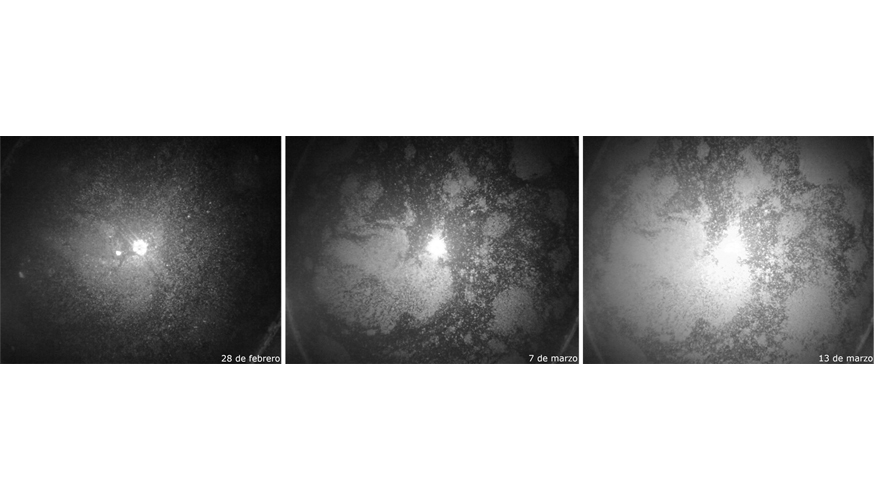 Evoluci�n del velo de flor captada por varias im�genes de la c�mara