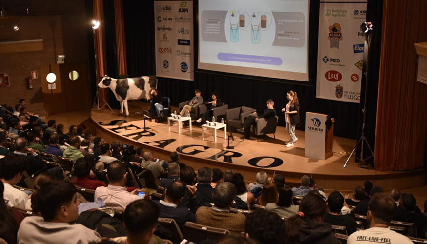 Imagen del auditorio en las pasadas jornadas celebradas en 2024