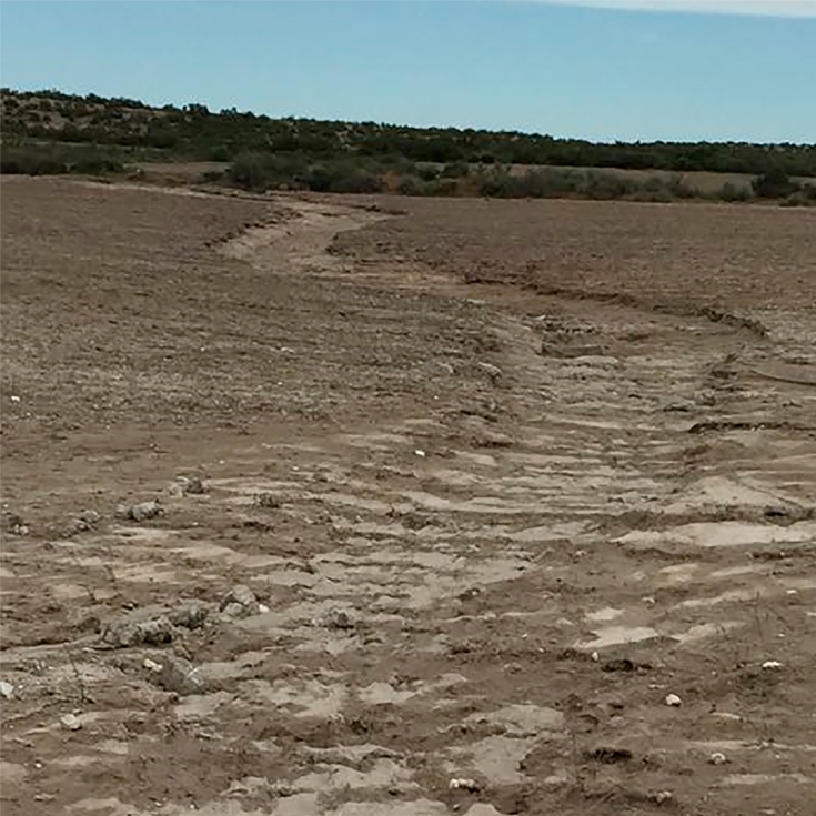 Procesos erosivos en una parcela de laboreo tradicional en el Valle del Ebro. Foto: AGRACON