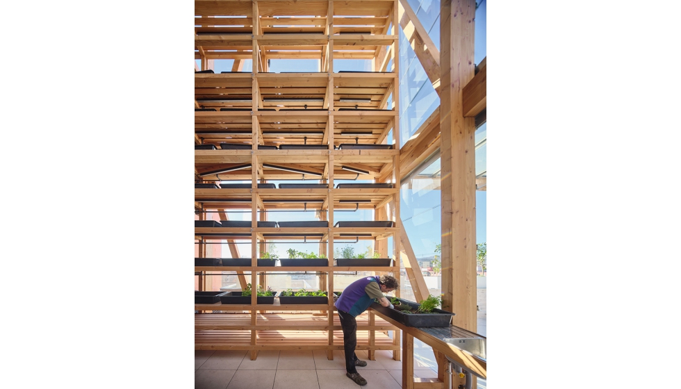 El invernadero solar permite producir alimentos entres los residentes de la comunidad y almacenar energ�a para el propio edificio. Foto: Adri� Goula...