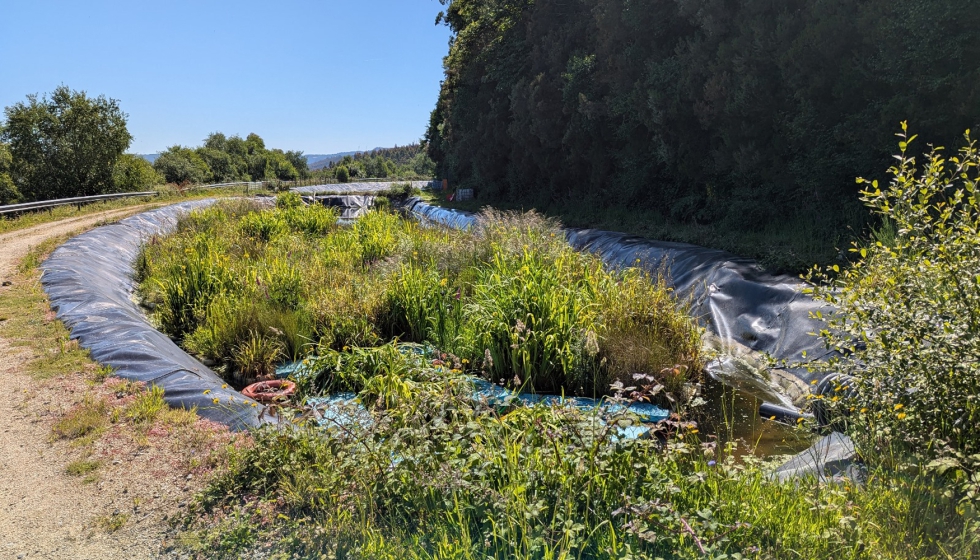 Proyecto de sistemas de tratamientos de agua alternativos de Aimen