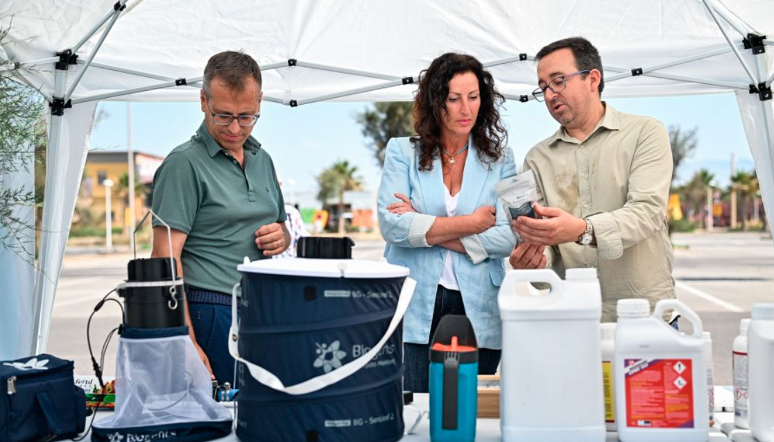 En el programa de tratamiento se contempla la realizaci�n de tratamientos de plagas en solares municipales y en zonas encharcadas espec�ficamente...