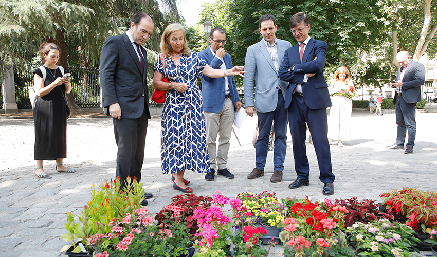 Foto de Parques y zonas verdes de los 21 distritos de Madrid estrenan flores de temporada