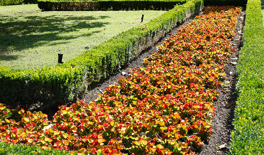Resultado de los trabajos en la plaza de Murillo