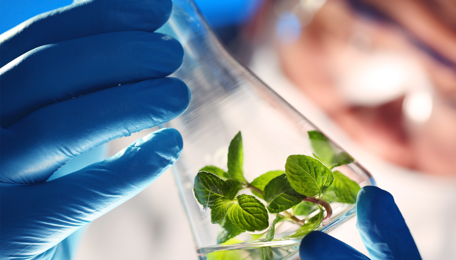 AseBio considera que un marco legislativo slido es esencial para desbloquear todo el potencial de la biotecnologa en beneficio de la economa...