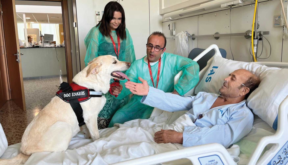 La iniciativa, promovida por el Instituto de Asistencia Sanitaria junto el Hospital Santa Caterina y el Colegio de Veterinarios de Girona...