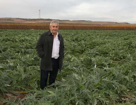 Serafn Osta, presidente del Consejor Regulador de la I.G.P. Alcachofa de Tudela