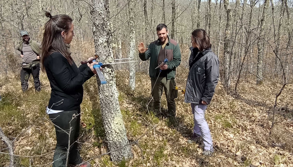 Selviaula busca capacitar a t�cnicos forestales en pr�cticas sostenibles de aprovechamiento de madera...