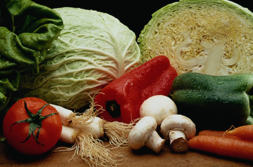 La produccin hortcola es variada en la comunidad aragonesa y rene, desde brassicas a hortalizas de hoja o tallo, frutos, como tomate o pimiento...