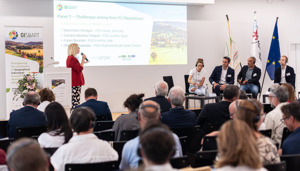 Bruselas reuni� a las Denominaciones de Origen de vino para trazar el futuro de las Indicaciones Geogr�ficas