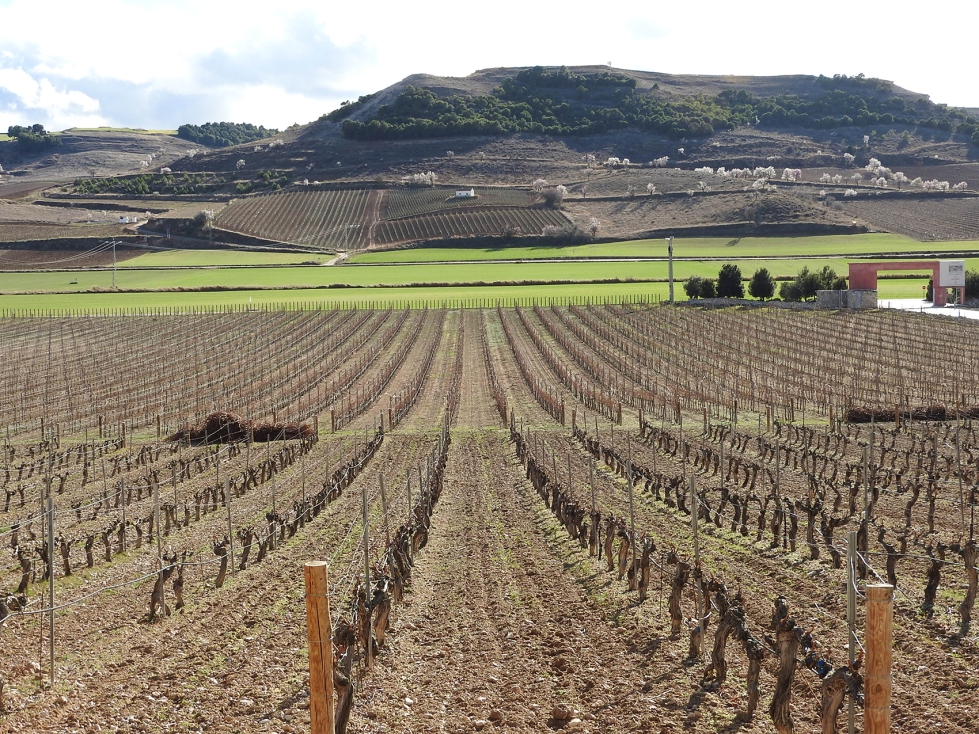 Las comunidades autnomas notificarn la resolucin a los beneficiarios antes del 1 de agosto, de acuerdo con el procedimiento habitual...