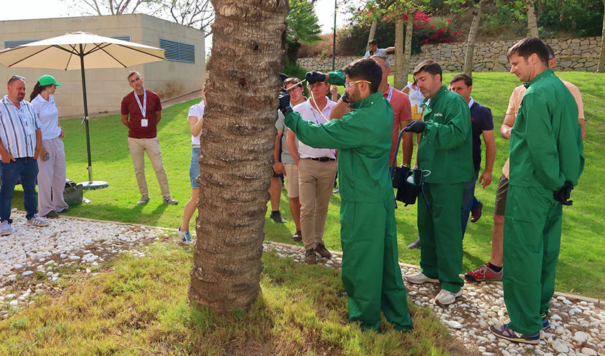 Aplicacin de Revive II