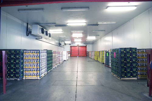 Cmara frigorfica para flores y productos perecederos del proceso 'Cool & Fast' de Iberia Cargo
