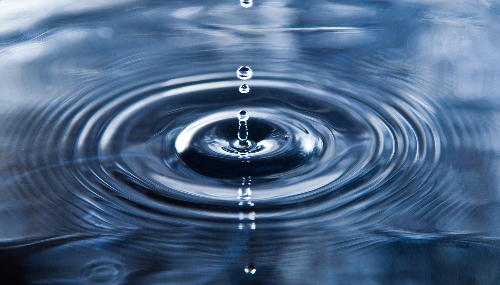 Water Twins conecta a grandes empresas con proyectos de regeneración hídrica adaptados al territorio para fomentar una relación sostenible con el agua – Interempresas.net