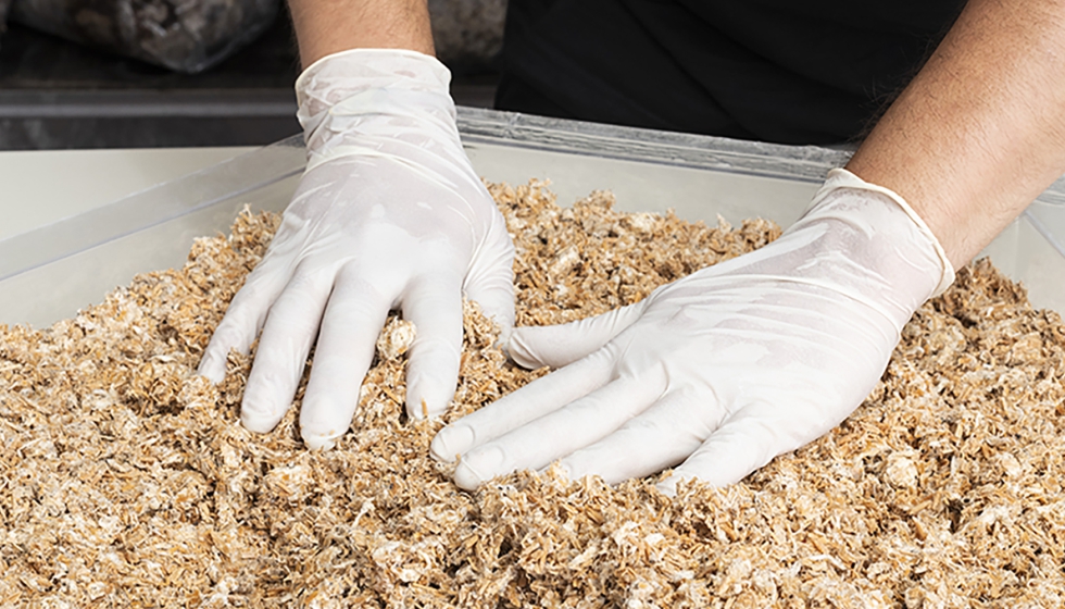 Los revestimientos laminados usados se reciclan mediante una innovadora tecnologa de desfibrado...