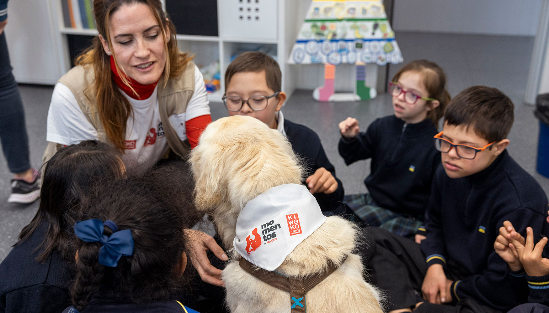 Esta interacci�n ha reforzado la confianza y autoestima, reduciendo la ansiedad en los alumnos que han participado en esta edici�n...