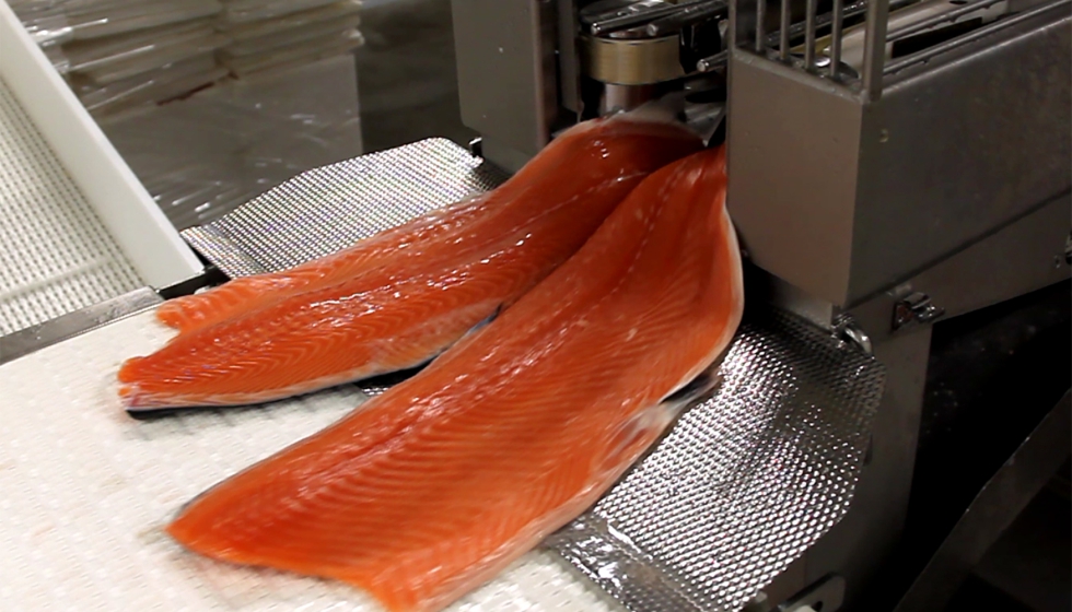 Foto de Fiabilidad comprobada: la solucin Marel de fileteado asequible que marca la diferencia