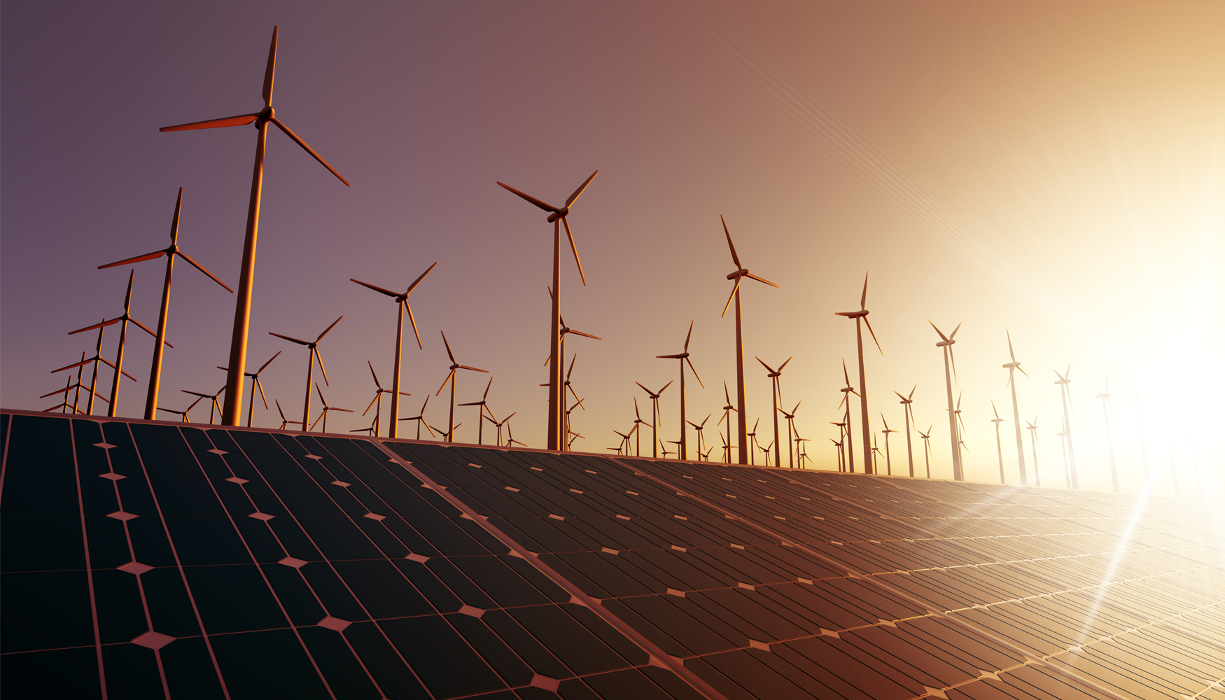 Las entidades adheridas al manifiesto hacen un llamamiento firme a las instituciones, empresas...