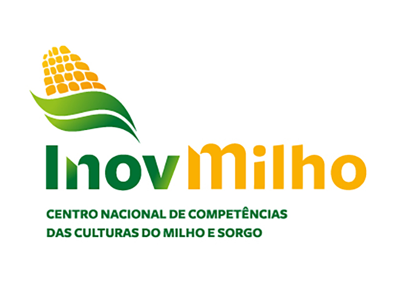 Foto de Especialista na produo de milho vem a Portugal dar formao