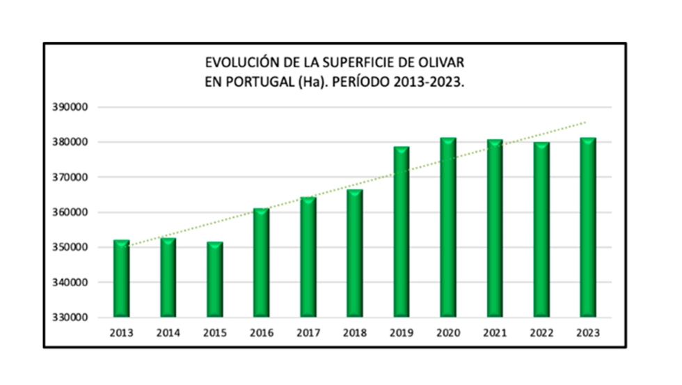 Gráfica 1 Evolución de la superficie de olivar (ha) en Portugal. Período 2013-2023. Fuente: VILCON, 2025 Gráfica 1 Evolución de la superficie de olivar (ha) en Portugal. Período 2013-2023. Fuente: VILCON, 2025