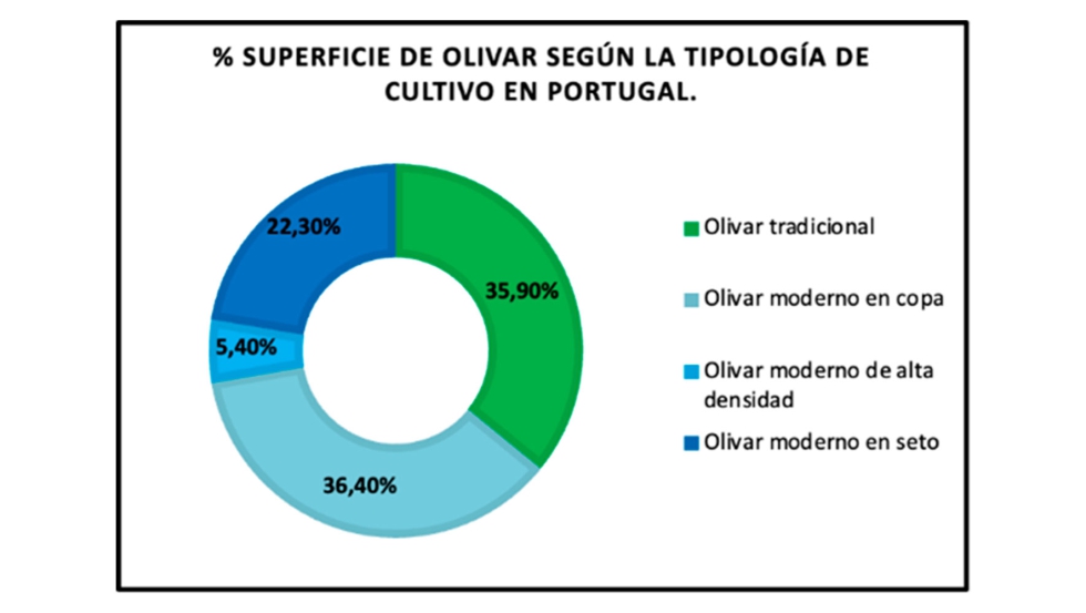 Gráfica 2: % Superficie de olivar según la tipología de cultivo en Portugal. Fuente: VILCON 2025 Gráfica 2: % Superficie de olivar según la tipología de cultivo en Portugal. Fuente: VILCON 2025