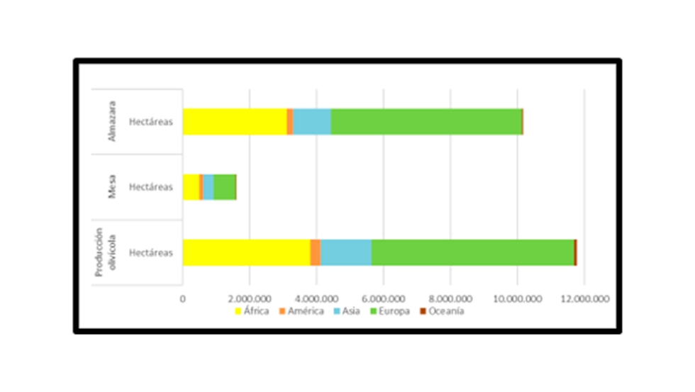 Gráfica 4: Distribución de superficie mundial por continentes y destinos. Fuente: VILCON,2025 Gráfica 4: Distribución de superficie mundial por continentes y destinos. Fuente: VILCON,2025