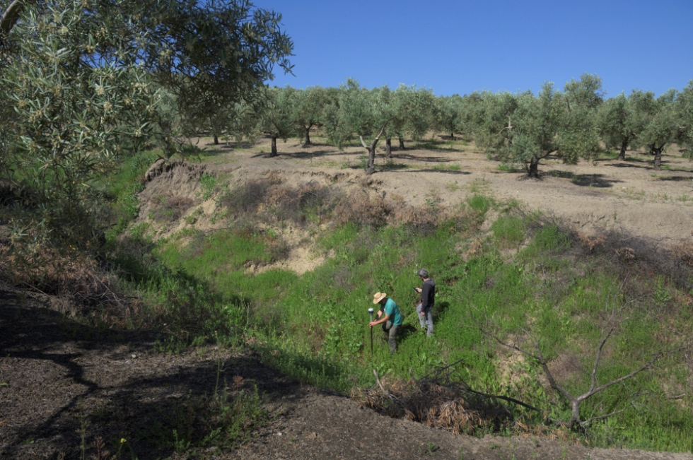 El Laboratorio de Erosin del IAS-CSIC viene desarrollando distintos proyectos y trabajos enfocados en aplicar el conocimiento cientfico-tcnico...