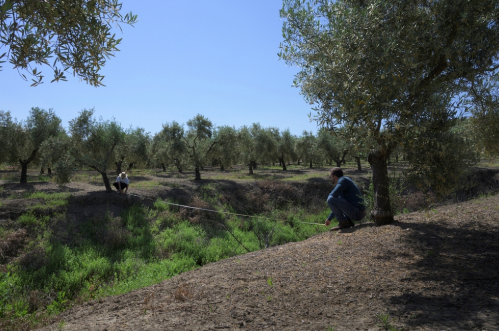 Los investigadores del IAS-CSIC trabajan en el anlisis de ortofotos histricas desde 1956 hasta la actualidad para el estudio y reconstruccin de...
