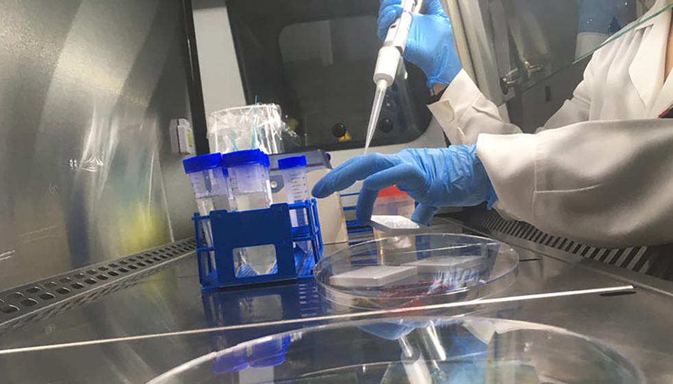 Preparaci�n de muestras en el Laboratorio de Microbiolog�a para los ensayos de SYNERGY