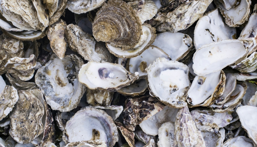 Foto de Rich @ rhubbardstockfootage en Unsplash