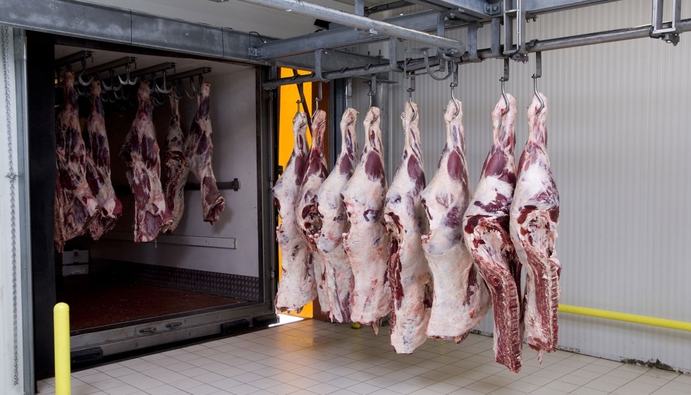 Canales de vacuno en una industria crnica