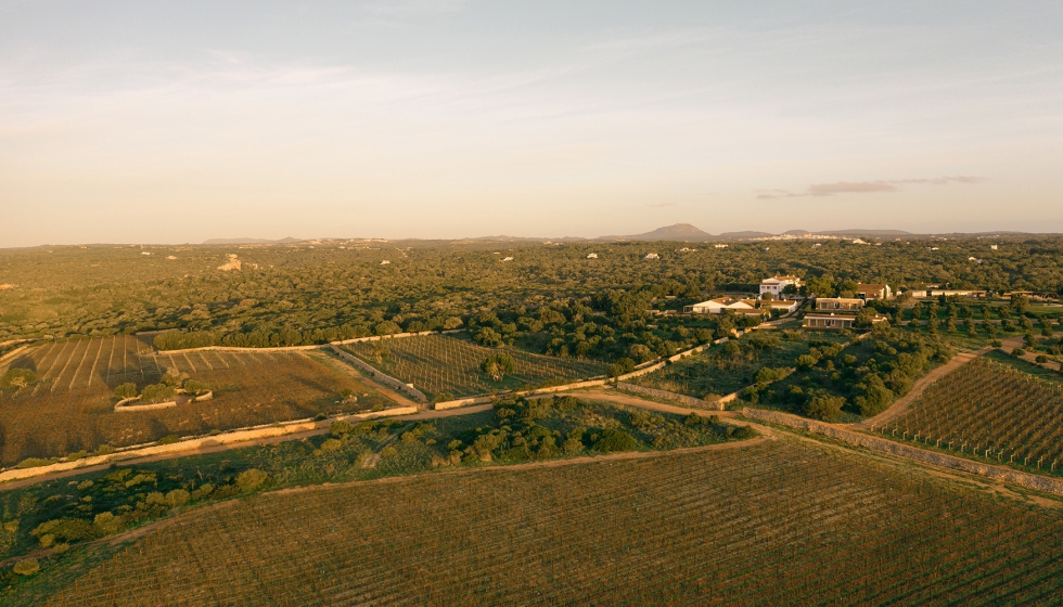 Torralbenc recoge la esencia del paisaje menorqu�n, los suelos de arrecife de la isla y el car�cter mediterr�neo