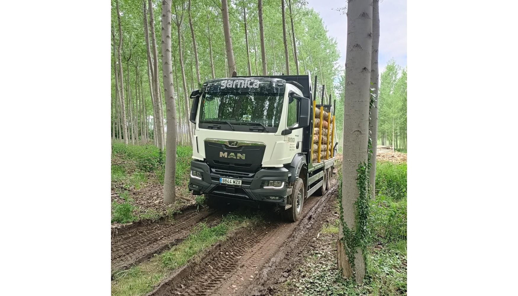 Garnica se ha consolidado como un referente global en la industria del tablero contrachapado