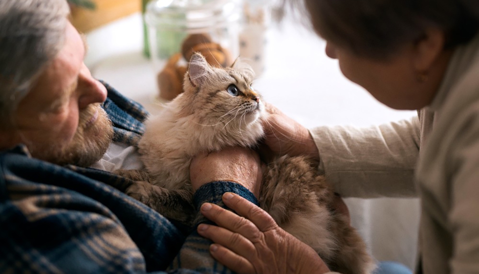 Poder salvar una vida es la principal motivaci�n para las personas que adoptan en Madrid...