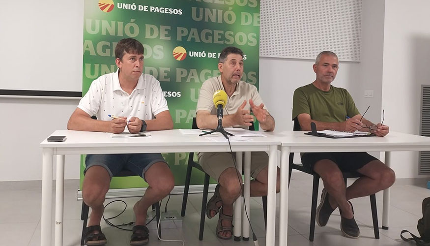 De izquierda a derecha...