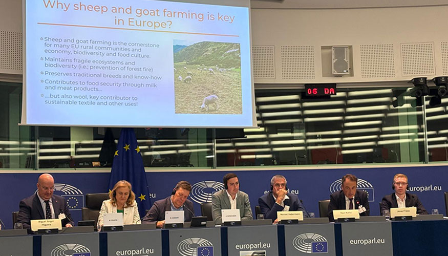 Foto de Ral Muiz defiende en Europa el papel estratgico del sector ovino y caprino