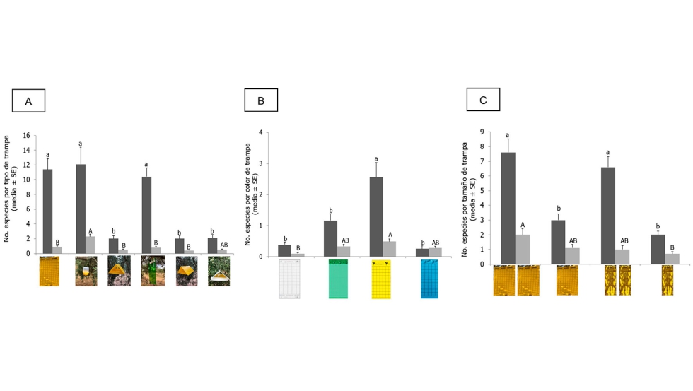 Figura 3. Optimizaci�n del tipo de trampa para captura de B. oleae (barras gris oscuro) y enemigos naturales (barras gris claro). A: Captura de B...