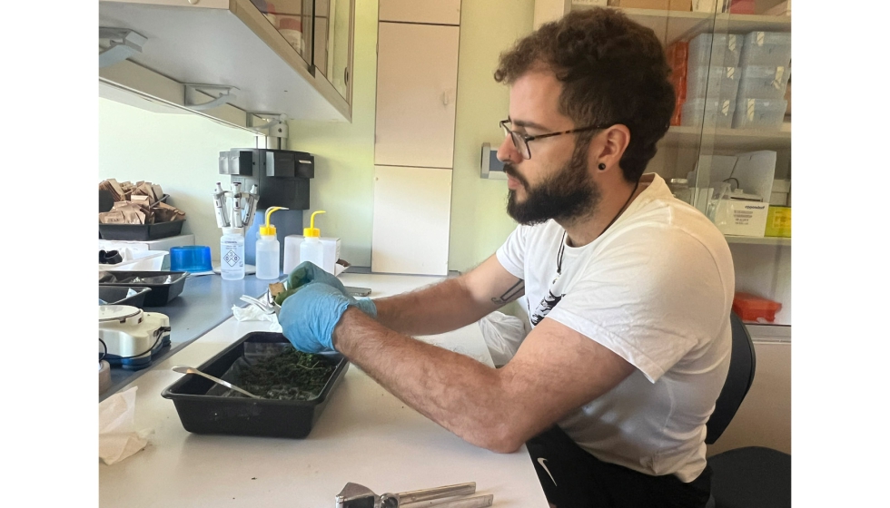 Ra�l Ochoa-Hueso, investigador principal del proyecto