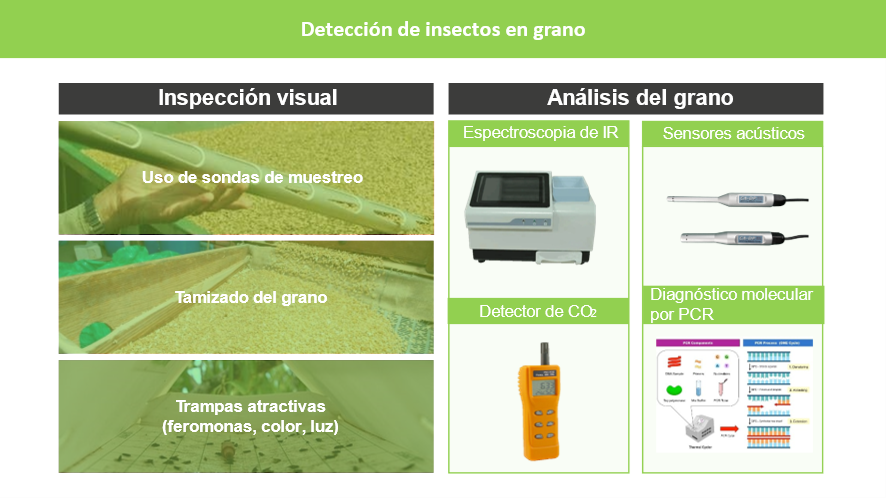 Figura 2. Tcnicas disponibles para la deteccin de insectos en el grano, incluyendo mtodos de inspeccin visual y el anlisis de muestras de grano...