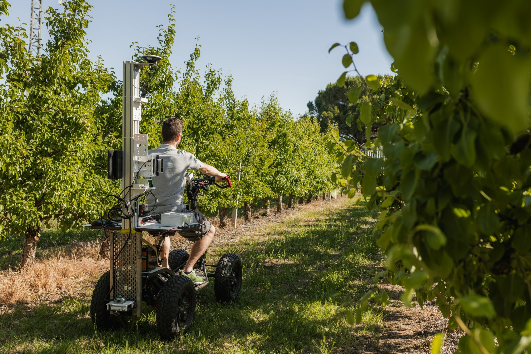 Uno de los ejes de la investigacin conjunta girar en torno al cultivo de fruta con herramientas de precisin