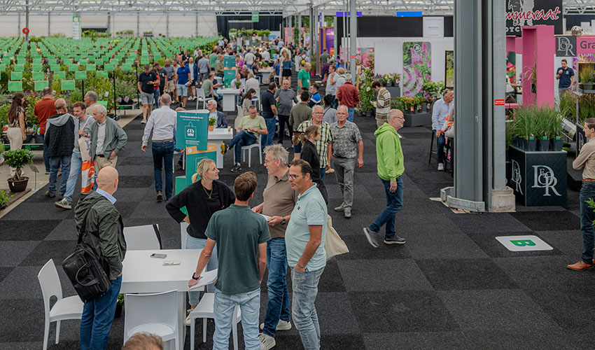 El evento se configurar� con el entorno adecuado para el networking