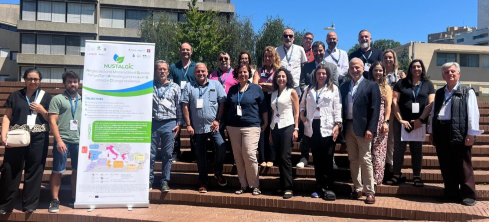 Grupo de investigadores del proyecto NUSTALGIC